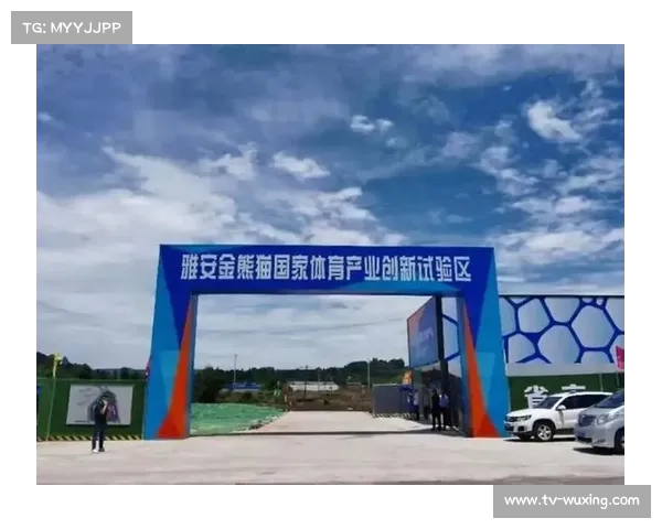 体育产业数字创新试验区设立 探索政策突破